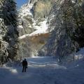 SAMOENS autour du plateau des saix