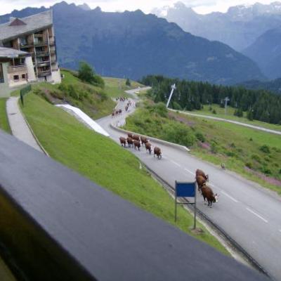 SAMOENS 1600 en été