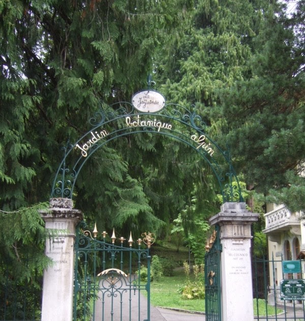 Le jardin botanique alpin de la jaysinia